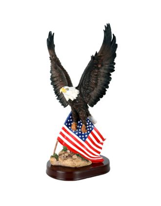 Eagle with America Flag