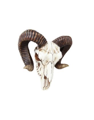Big Horn Skull Wall Hanging