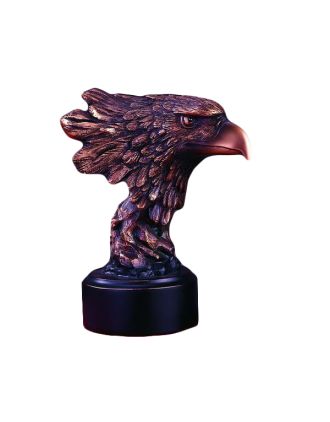 Eagle Head a beak to avoid