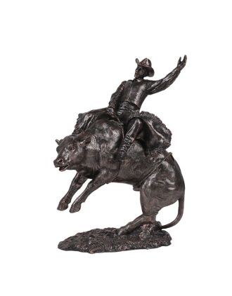 Cowboy rodeo on bull