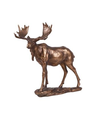 Moose - at attention