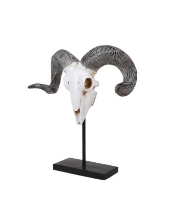 Big Horn Skull on stand