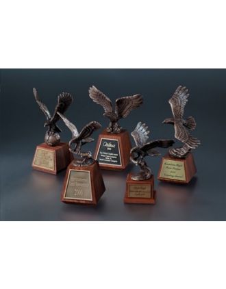 Eagle - Soaring to New Heights