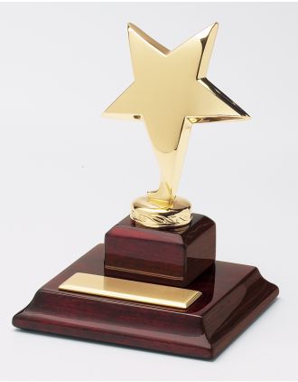 Shining Star Award FREE TEXT