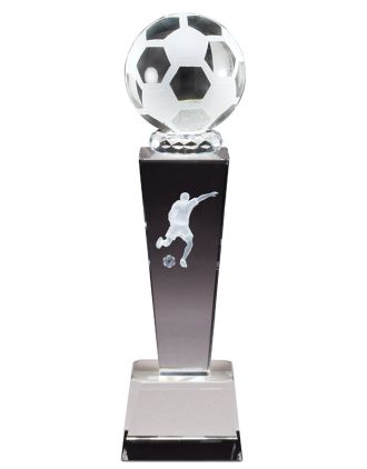 Soccer Award FREE TEXT