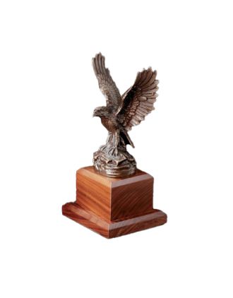 Eagle - Symbol of Freedom