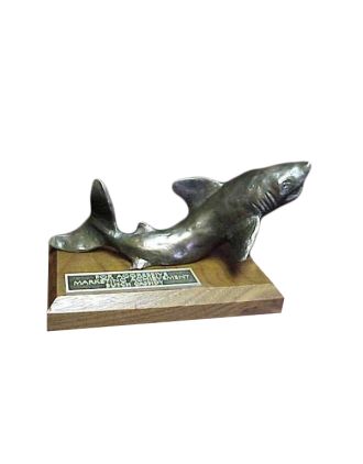 Shark Statue - on alert