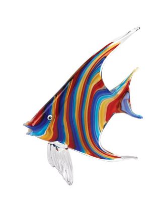 Fish - Glorious Rainbow Colors