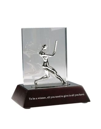 To be a WINNER give all you have.