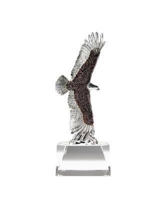 Eagle Aflight on Base