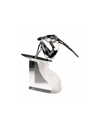 Surfing - riding a wave