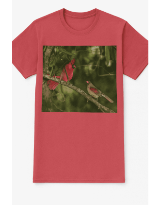 Black t-shirt with Cardinals