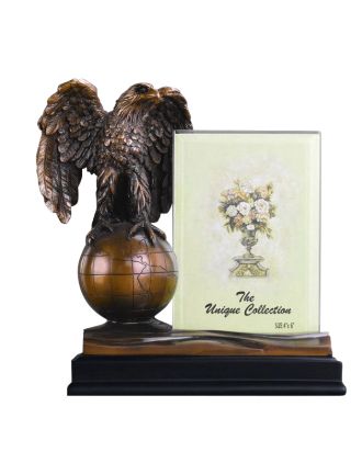 Eagle on Globe Picture Frame
