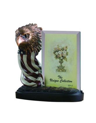 Eagle Head w/Flag Picture Frame