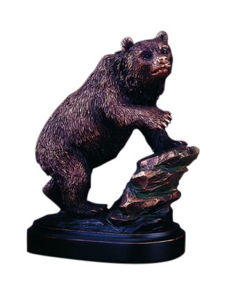 Checking it out Bear Statue 6"