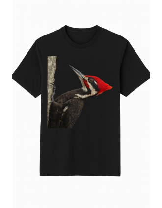 Pileated Woodpecker t-shirt