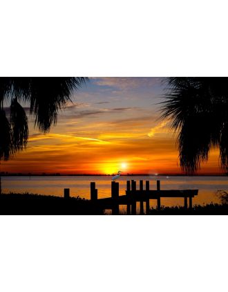 Glorious Sunset with Egret