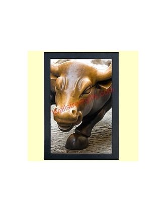 Up Close Bull wall art 11x14