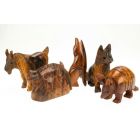 Interesting Animal Collection