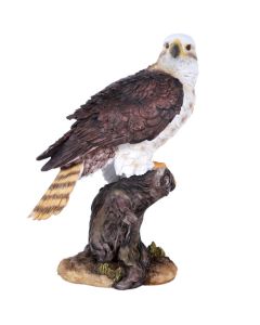 Eagle or Osprey? Statue
