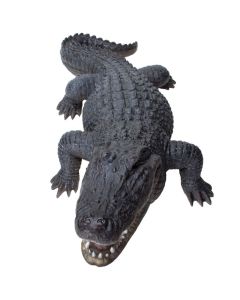 Big Alligator Statue