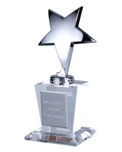 Silver Star Award FREE TEXT