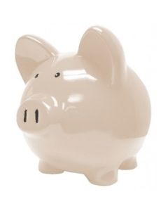 June Birthstone Ceramic Piggy Bank