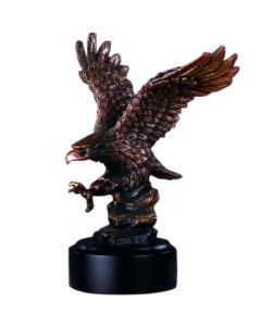 Eagle 7
