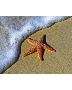 Make a Difference, the Starfish Story