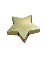 gold star paperweight